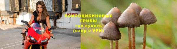 apvp Майский