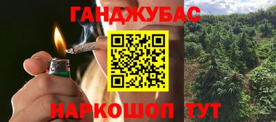 СК Волгодонск