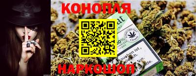 СК Волгодонск