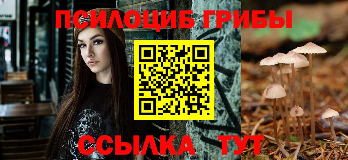 Псилоцибиновые грибы Cubensis Донецк