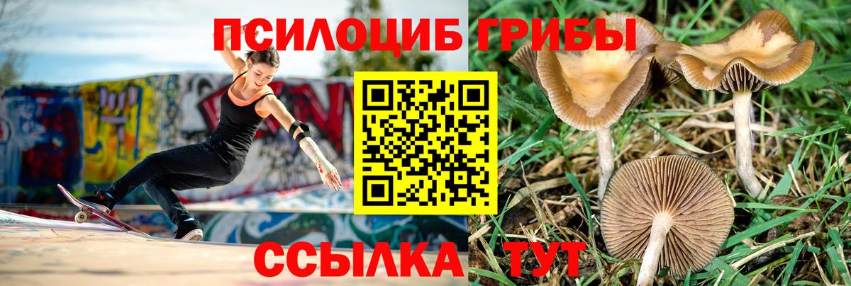 где найти наркотики  Вход с VPN  Галлюциногенные грибы мицелий  Донецк  Галлюциногенные грибы ЛСД 