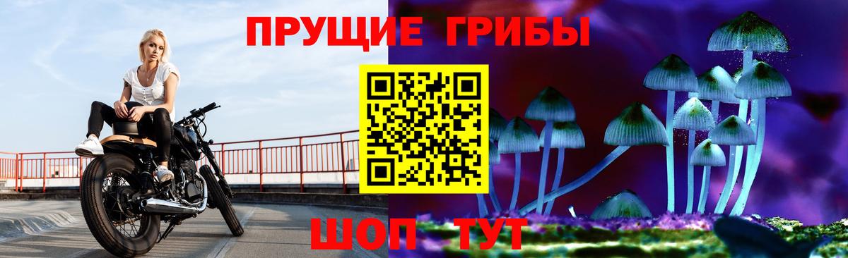Псилоцибиновые грибы прущие грибы  закладки  Донецк 